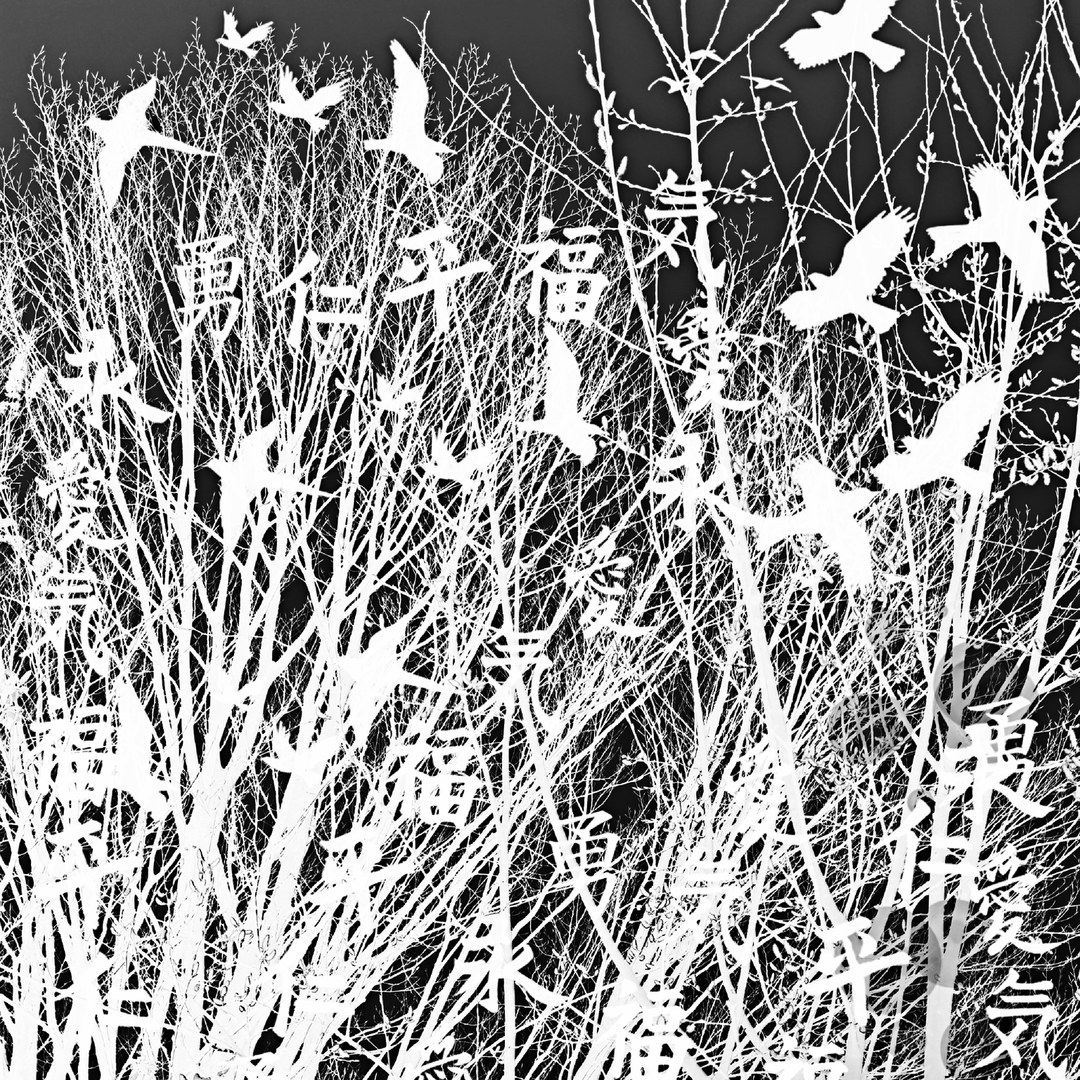 Kunsthaus Lay22 Digitale Kunst 09